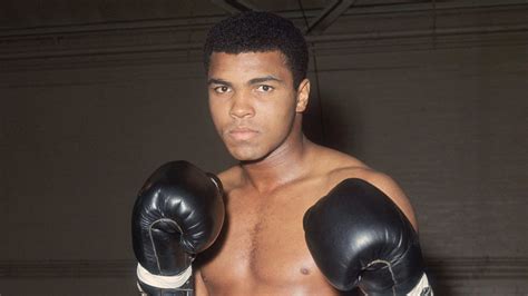 muhammad ali boxer wikipedia|More.